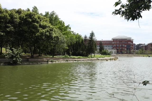 成都纺专专升本有哪些专业(成都纺专专升本升哪所大学)