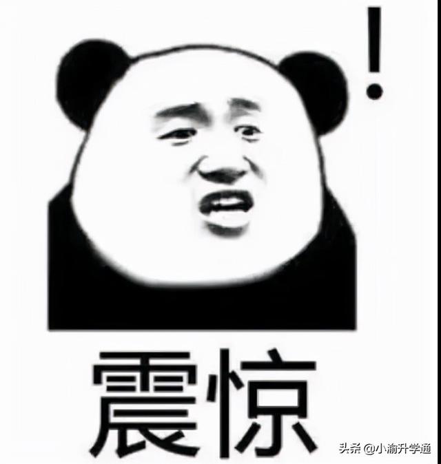 考不上高中上什么学校(上不了高中还能上什么学校)