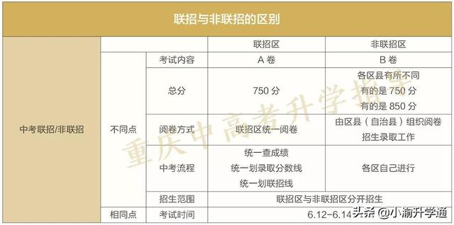 考不上高中上什么学校(上不了高中还能上什么学校)