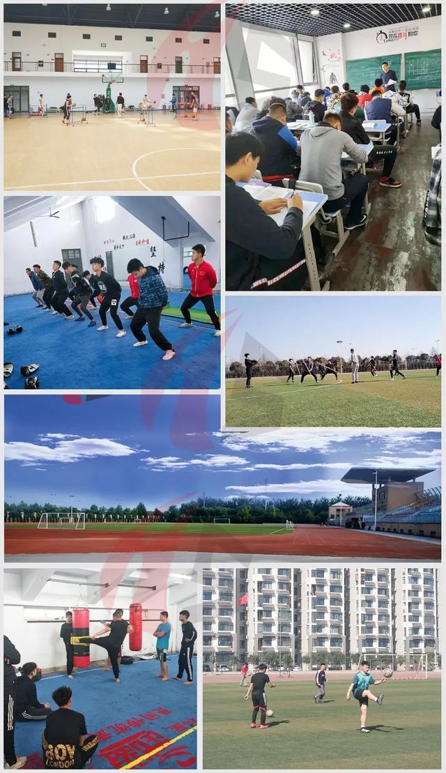石家庄单招培训班(河北石家庄单招学校)