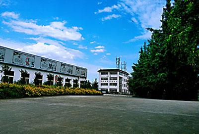 四川省卫校单招录取分数线(娄底卫校单招录取分数线)