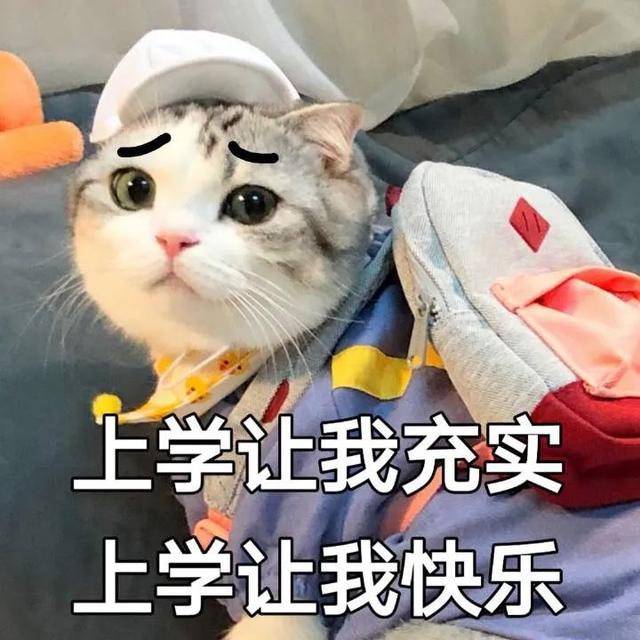 泸州西南医科大学附属卫校(泸州西南医科大学附属卫校分数线)