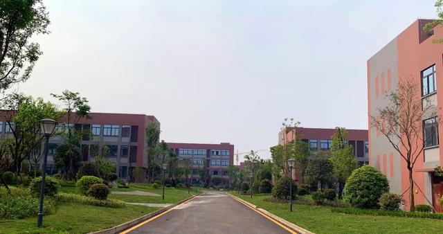泸州西南医科大学附属卫校(泸州西南医科大学附属卫校分数线)