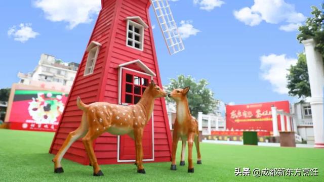 哪里有职高学校(河北省哪里的职高学校好)