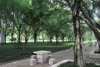 重庆知行卫生学校(重庆知行卫生学校怎么样)