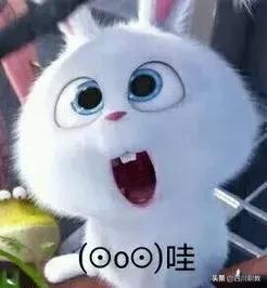 志翔职业技术学校招生(四川省志翔职业技术学校是公办还是民办)