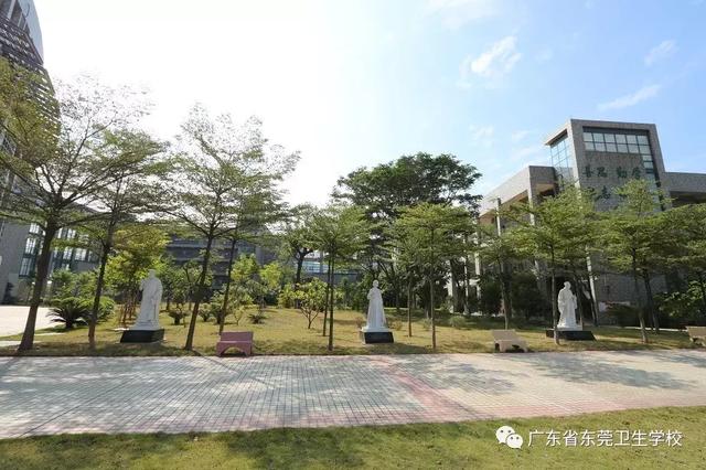 东莞卫生学校(广东省东莞卫生学校)