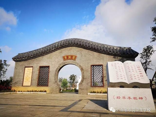 东莞卫生学校(广东省东莞卫生学校)