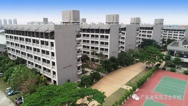东莞卫生学校(广东省东莞卫生学校)