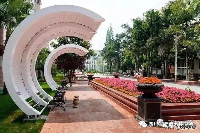 双流艺体中学招生要求(双流艺体中学2020招生分数线)