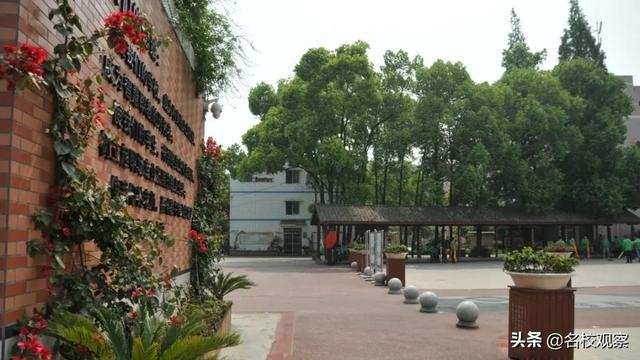 双流区职业学校有哪些(双流中和职业学校)