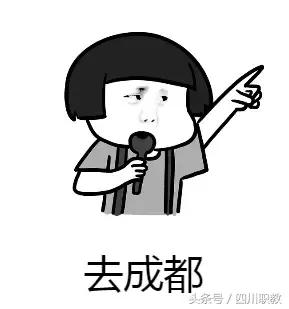 成都的高职(成都的高职院校)