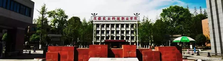 成都的高职(成都的高职院校)