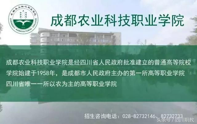 成都的高职(成都的高职院校)
