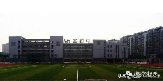 成都初中公立学校排名(成都高中公立学校排名)