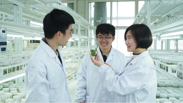 职业技术学校招生网(宝安职业技术学校招生网)