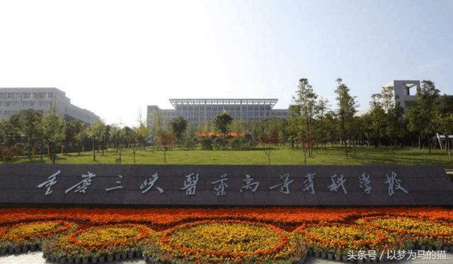 重庆的职高有哪些(重庆有哪些公办职高)图3