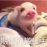 成都洪河在哪个区(成都洪河属于哪个区)