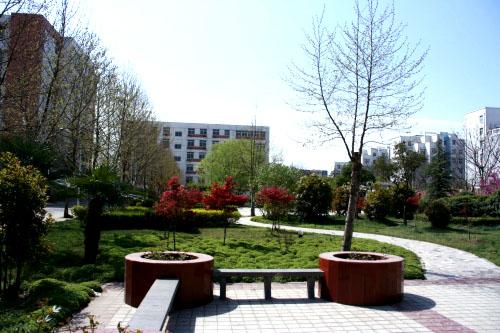 成都高等专科学校有哪些(成都纺织高等专科学校有哪些学院)
