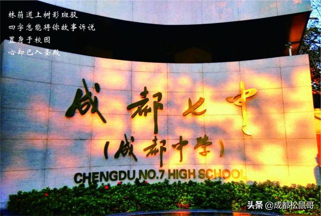 成都高中公立学校排名最新版(成都公立学校排名小学)