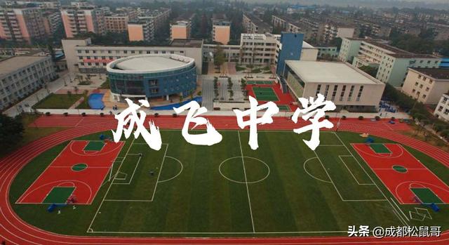 成都3十2学校有哪些(成都3十2公办学校有哪些)