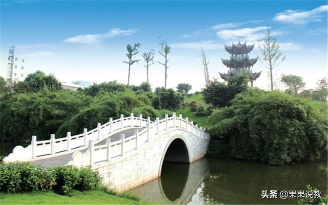 泸州医学院高考分数线(泸州医学院高考分数线2020)