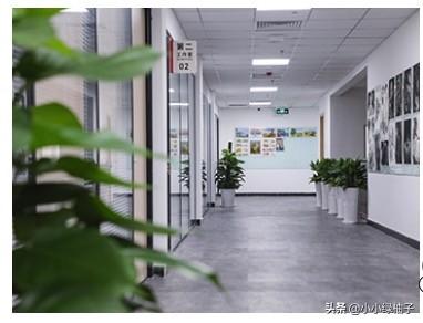 成都幼师培训班学校(成都公办幼师学校排名表)