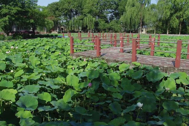 关于成都华西卫校是公办还是民办的信息
