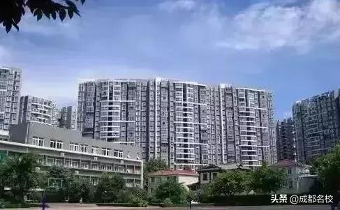 成都私立小学学校排行榜(麻城私立小学学校排行榜)