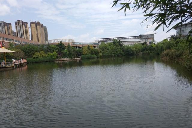 四川城市职业学院有哪些专业(四川城市职业学院有哪些专业在成都校区)