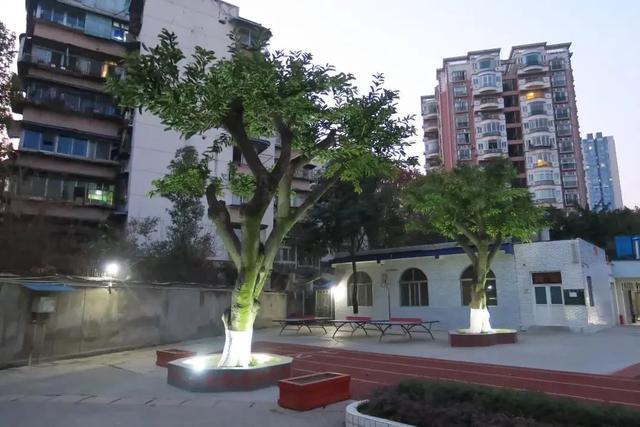 成都市职业高级中学(成都市职业高级中学校)