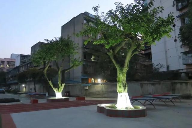 成都市职业高级中学(成都市职业高级中学校)