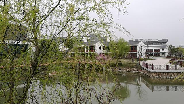 四川幼儿师范高等专科学校(四川幼儿师范高等专科学校分数线)