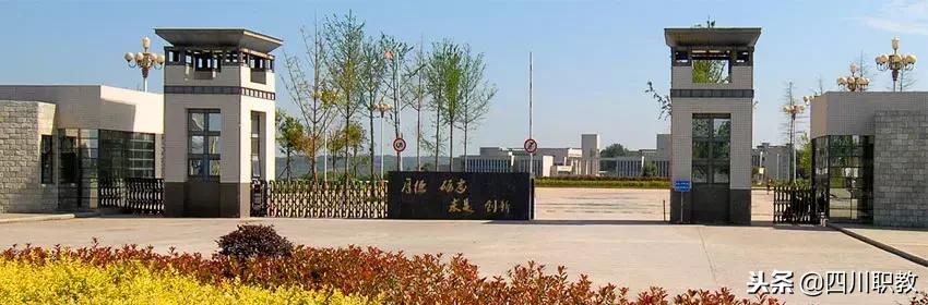 成都好的学前教育学校(四川成都学前教育单招学校有哪些)