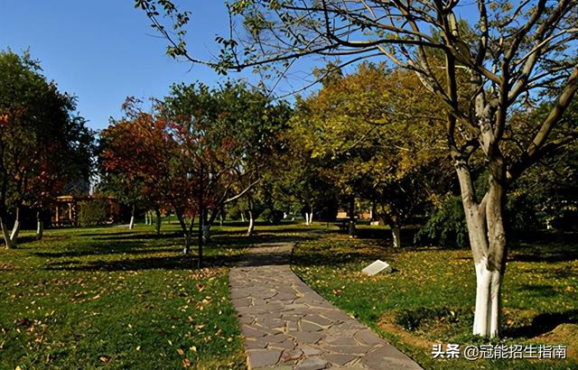 成都五年制大专有哪些学校(成都五年制大专分数线)