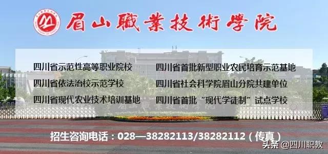 眉山职业学校(眉山职业学校官网)