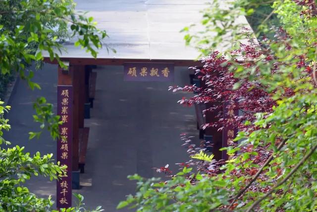 成都电子信息学校(成都电子信息学校学费)