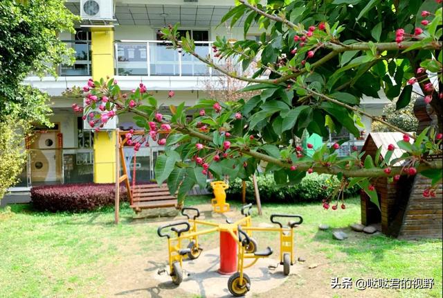 四川省犍为职业高级中学(四川省犍为职业高级中学官网)