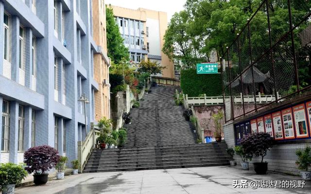 四川省犍为职业高级中学(四川省犍为职业高级中学官网)