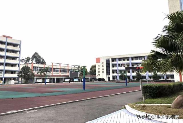 四川省犍为职业高级中学(四川省犍为职业高级中学官网)