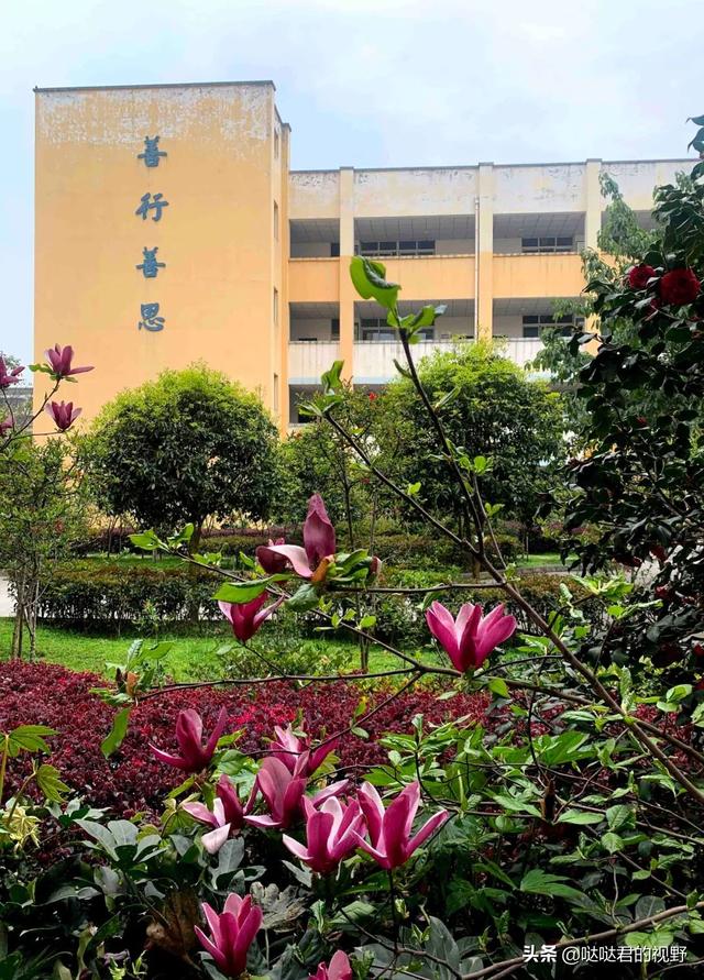 四川省犍为职业高级中学(四川省犍为职业高级中学官网)