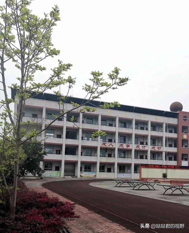 四川省犍为职业高级中学(四川省犍为职业高级中学官网)