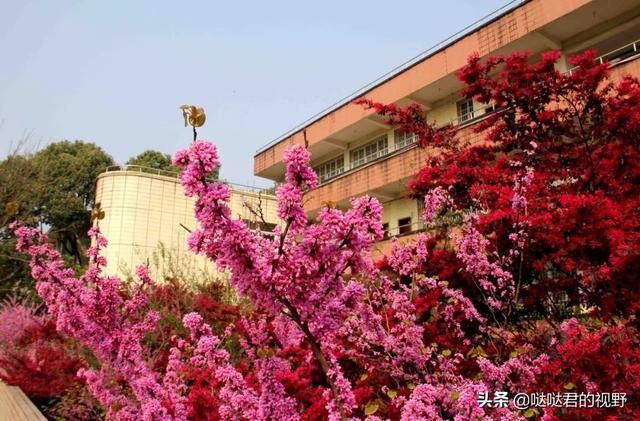 四川省犍为职业高级中学(四川省犍为职业高级中学官网)