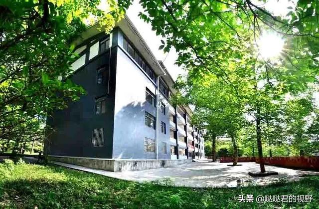 四川省犍为职业高级中学(四川省犍为职业高级中学官网)