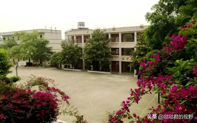 四川省犍为职业高级中学(四川省犍为职业高级中学官网)