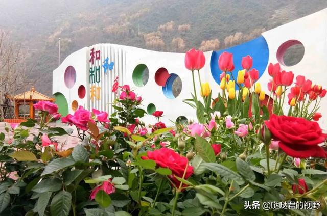 四川省犍为职业高级中学(四川省犍为职业高级中学官网)