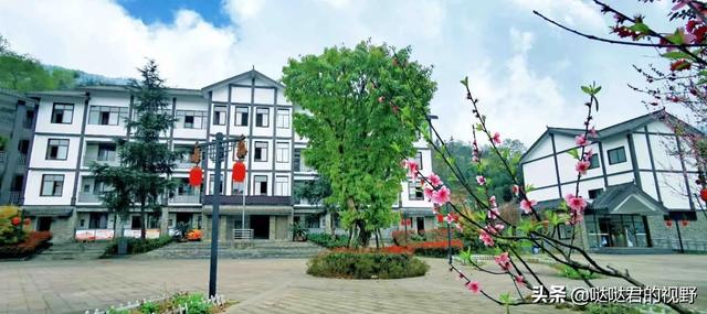 四川省犍为职业高级中学(四川省犍为职业高级中学官网)