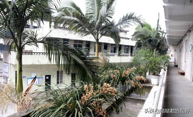四川省犍为职业高级中学(四川省犍为职业高级中学官网)