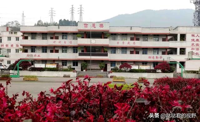 四川省犍为职业高级中学(四川省犍为职业高级中学官网)