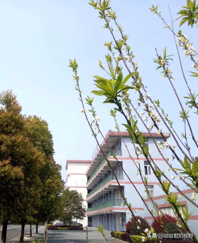 四川省犍为职业高级中学(四川省犍为职业高级中学官网)